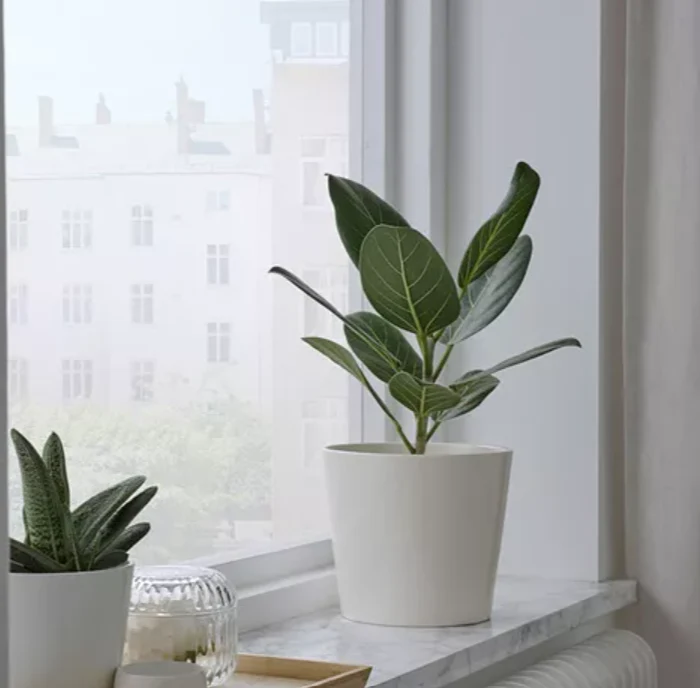 SOJABONA Flowerpot, white, 15 cm