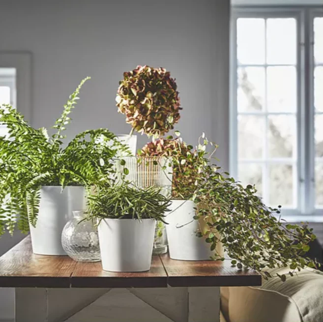 SOJABONA Flowerpot, white, 15 cm
