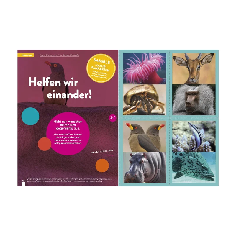 Kaleio Nr. 23: Freundinnen