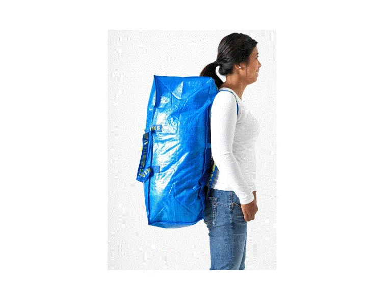 FRAKTA Trunk for trolley, blue, 73x35x30 cm 76 l