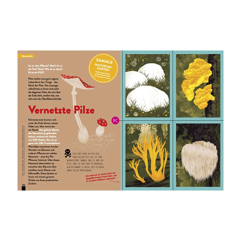 Kaleio Nr. 16 Vernetzt