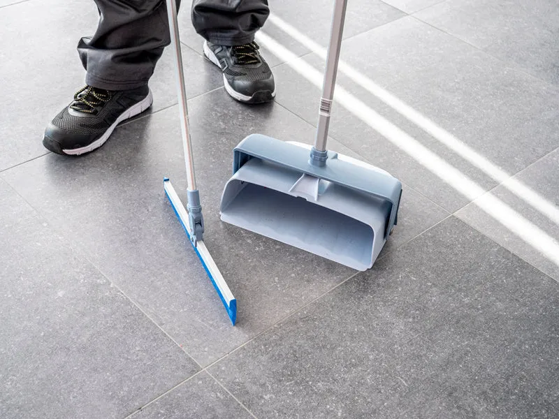 RACLETTE SOL 35CM GRIS/BLEU DUSTPAN VILEDA
