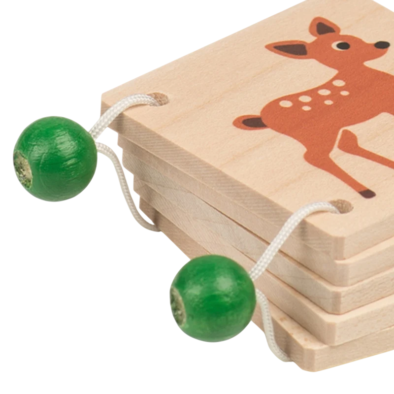 Holzbüechli Wald
