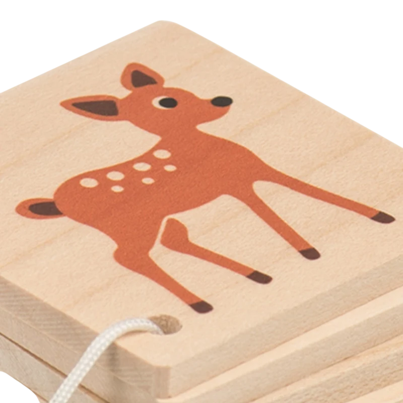 Holzbüechli Wald