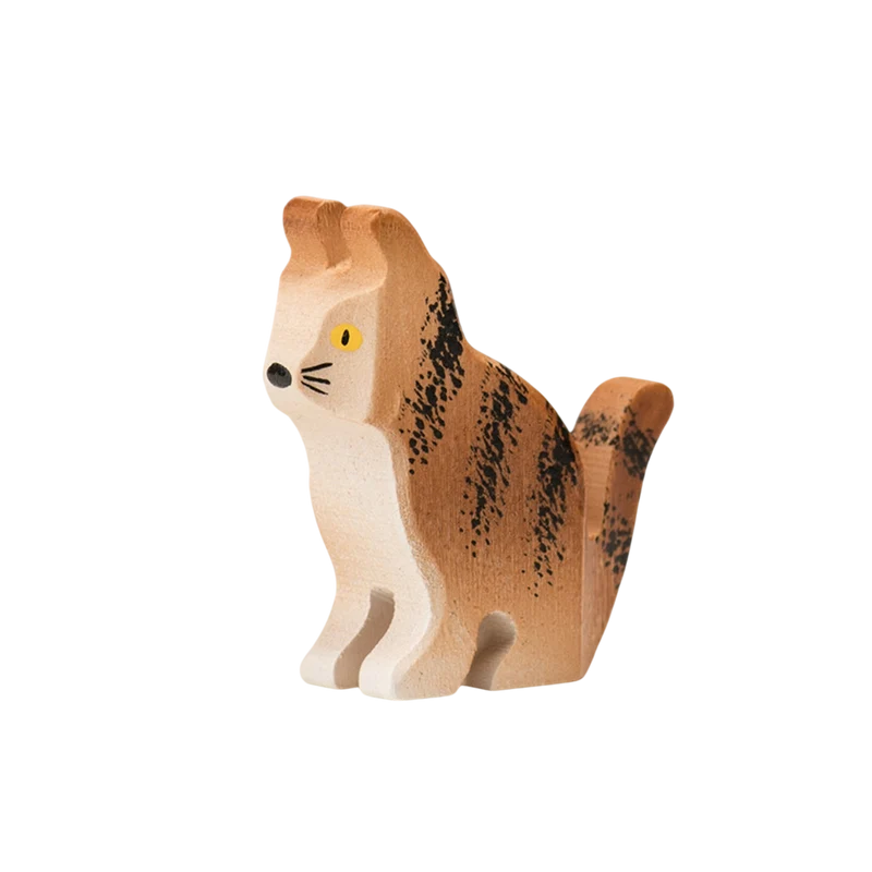 Trauffer Katze Barney