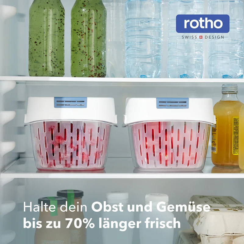 Dynamic Frischeboxen 1,6 L mit 4er-Filter