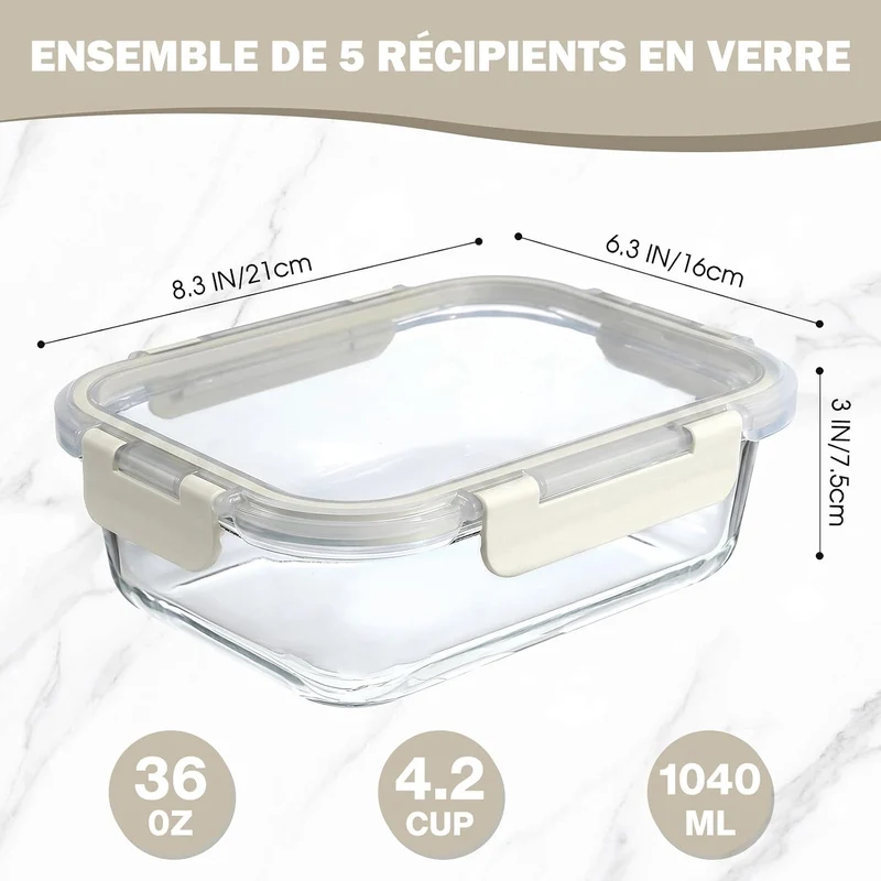 Lot de 5 Lunch Box Verre Réutilisables, Sans BPA