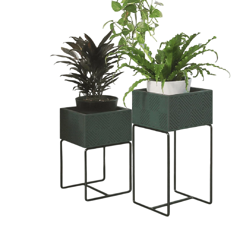 Nevi the plantbox Tannengrün, Schwarz S