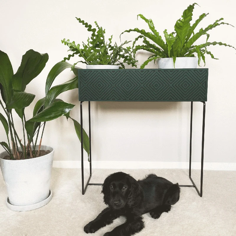 Nevi the plantbox Tannengrün, Schwarz L
