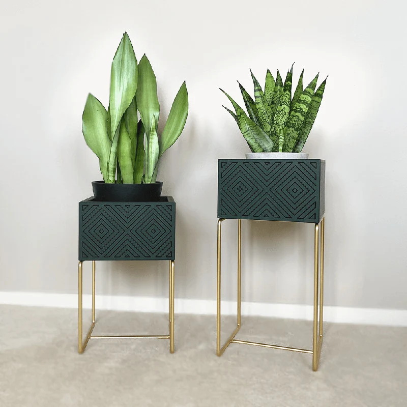 Nevi the plantbox Tannengrün, Gold M
