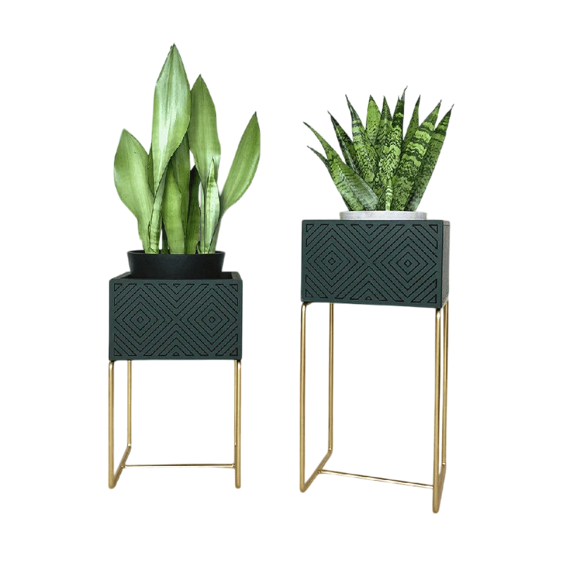 Nevi the plantbox Tannengrün, Gold M