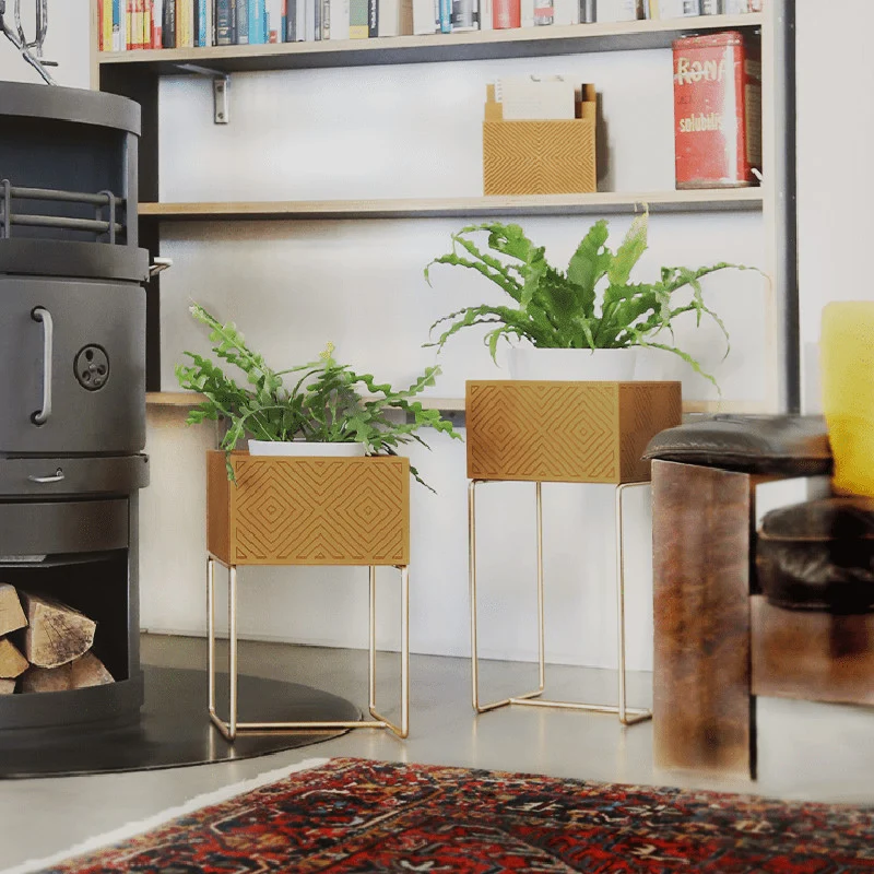Nevi the plantbox Senfgelb, Gold M