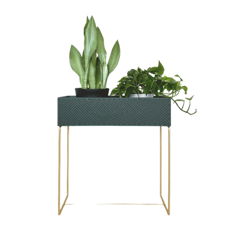Nevi the plantbox Tannengrün, Gold L