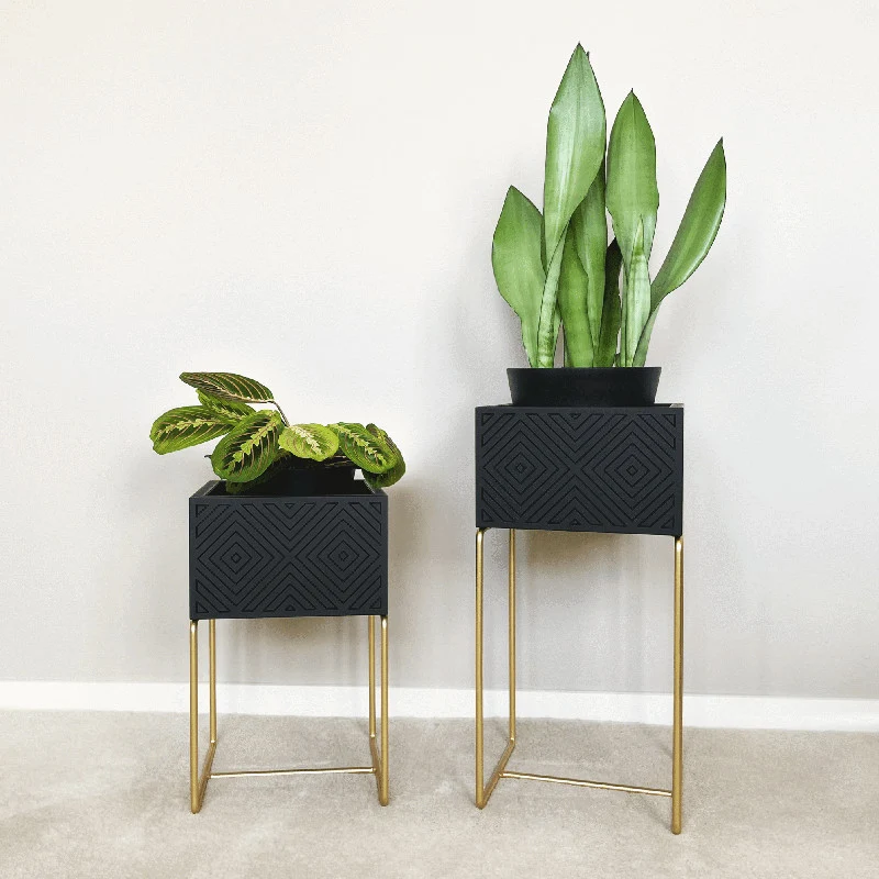 Nevi the plantbox Schwarz, Gold M