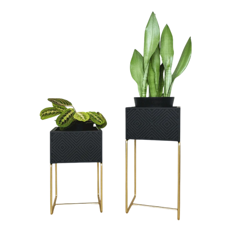 Nevi the plantbox Schwarz, Gold S