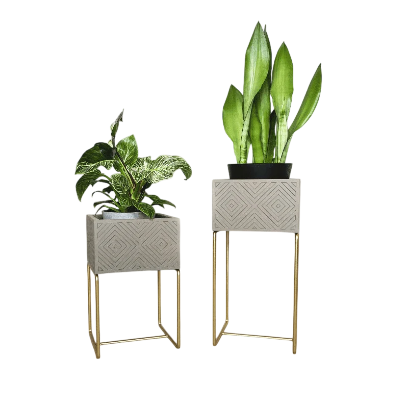 Nevi the plantbox Sandgrau, Gold S