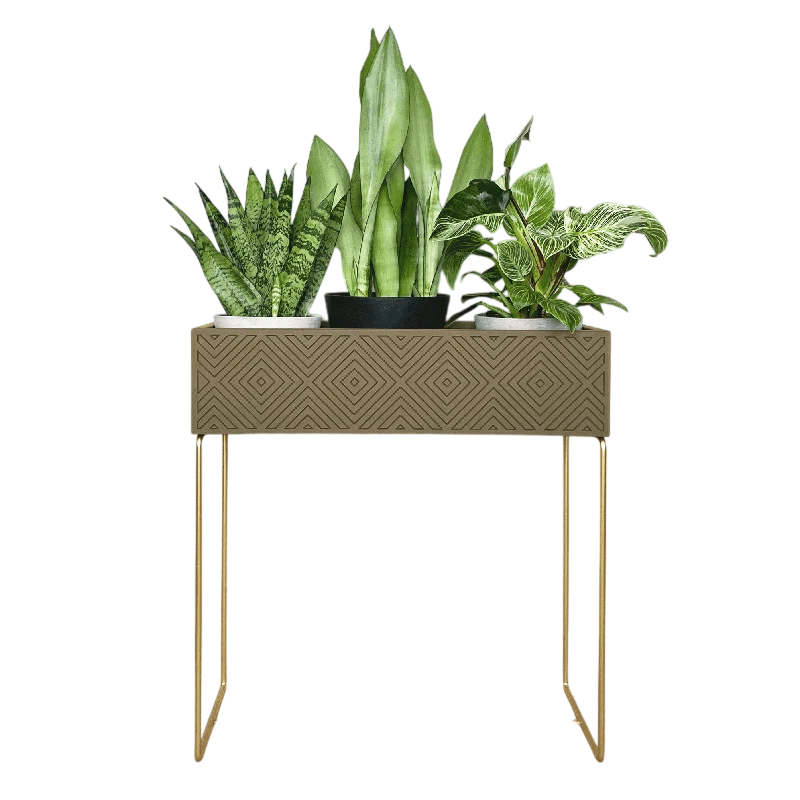 Nevi the plantbox Olivgrün, Gold L