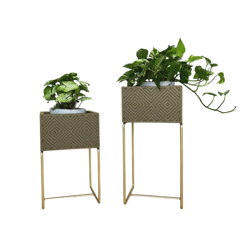 Nevi the plantbox Olivgrün, Gold S