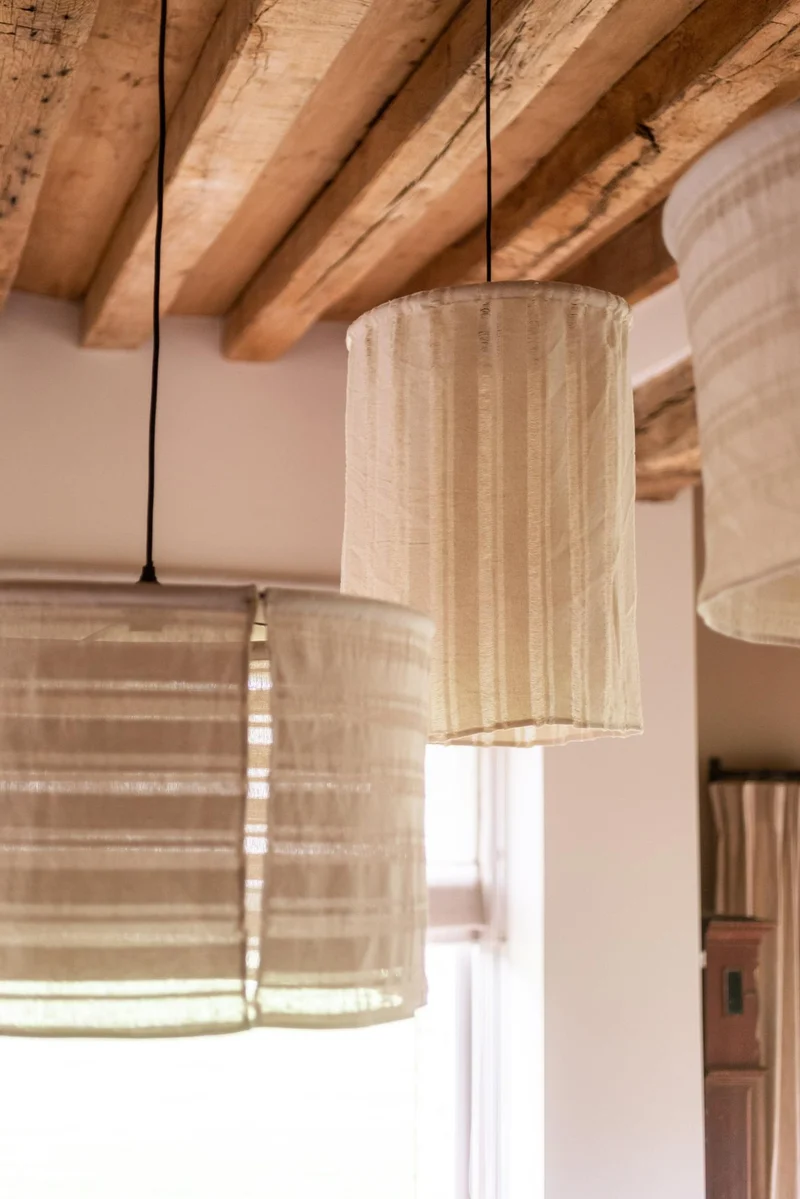 Suspension CHIMERE