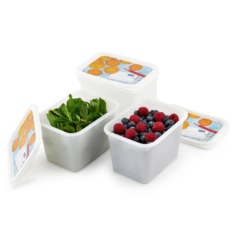 4er Set Gefrierdose 1 l DOMINO