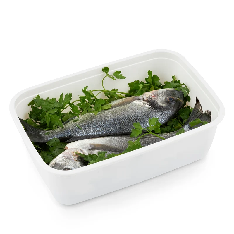 2er Set Gefrierdosen 1,9 l FREEZE
