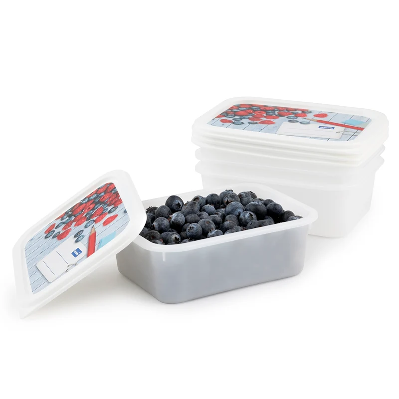 4er Set Gefrierdosen 0,5 l DOMINO