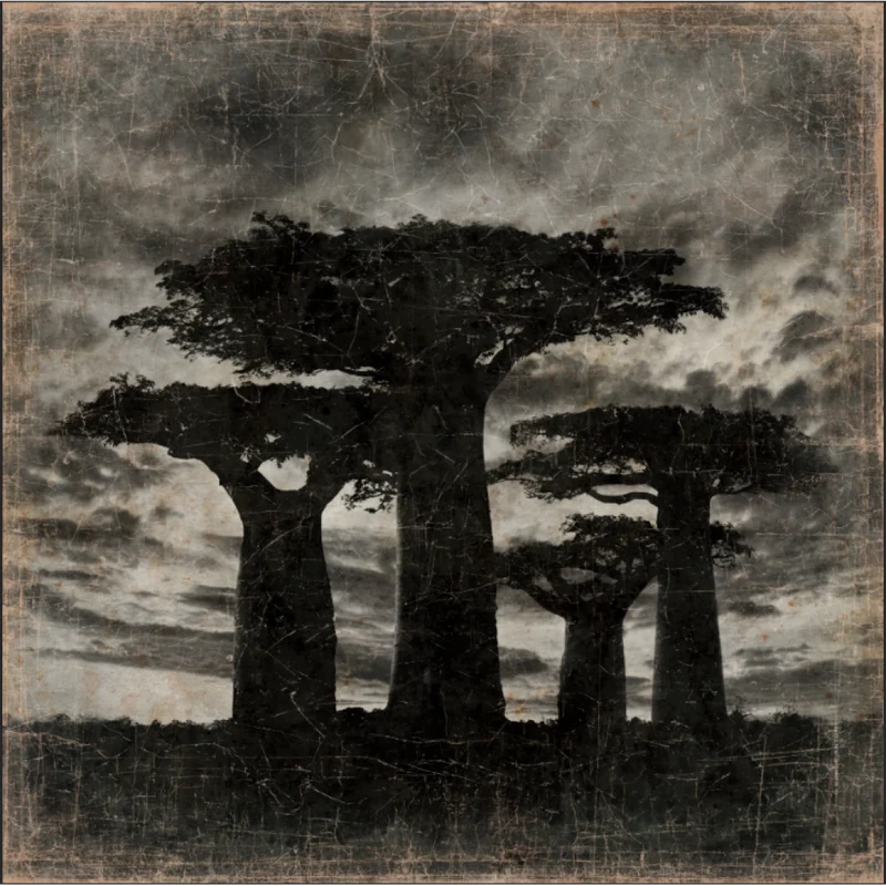 Tableau Papier Froissé Baobab Madagascar